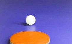 关于打乒乓球的日记(通用7篇)