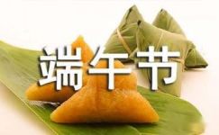 端午节包粽子日记(13篇)