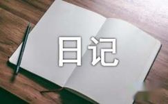 制作“竹筒饭”日记