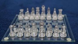 小学优秀日记300字：国际象棋考试