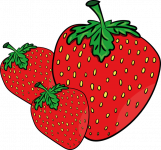 假期摘草莓