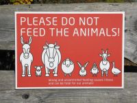 请爱护动物吧