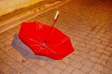 丢失的雨伞