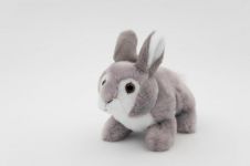 可爱的小兔兔 作文500字