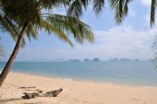 初中暑假日记300字：泰国旅游