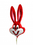 小兔的红气球 作文250字