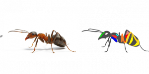 蚂蚁的力量