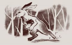 乌龟和兔子赛跑的新故事 作文250字