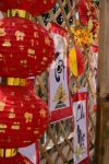 春节 - 新年日记300字
