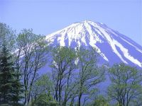 冬游富士山 作文150字