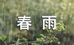 关于春雨日记集锦五篇