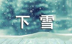 【精品】下雪日记锦集五篇