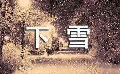 【精品】下雪日记合集八篇