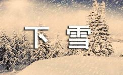 【必备】下雪日记锦集7篇