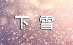 【精选】下雪日记范文集锦七篇