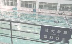 游泳日记范文锦集六篇