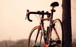 有关学骑自行车日记合集十篇