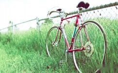 关于学骑自行车日记汇编5篇