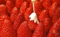 暑假日记：摘草莓大纲