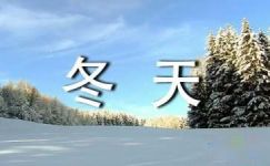 描述冬天雪景的高三日记：寒风中的冬天大纲