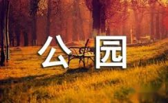 深圳湾公园散步三年级日记大纲