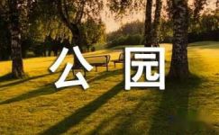 龙泉湖公园秋游记日记