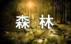 武夷山游记——森林探秘日记