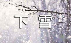 【热门】下雪日记3篇