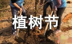 2017植树节日记精选