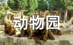 游杭州野生动物园日记