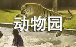 上海野生动物园日记