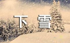 【热门】下雪日记4篇