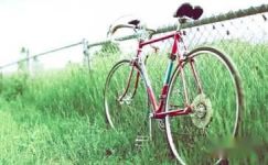 有关学骑自行车日记范文汇总5篇